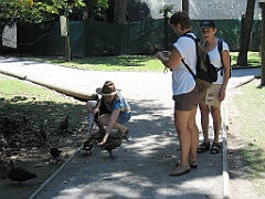 CairnsTC282 Wildlife Habitat